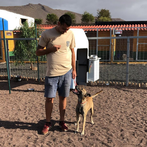 Nokhoi Servicios Caninos Alejandro García Adiestrador