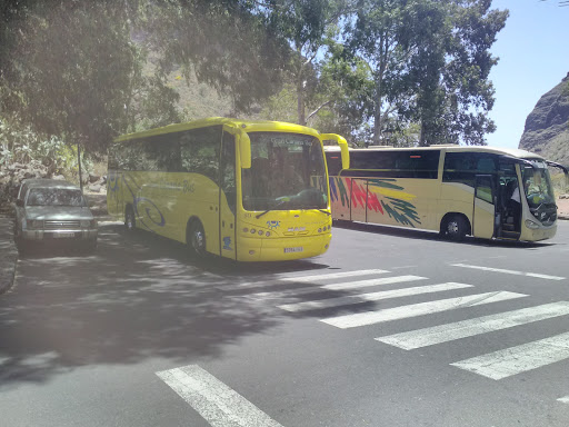Maspalomas Gran Canaria Bus, S.A.