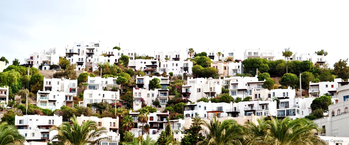 Cómo elegir la mejor inmobiliaria en Las Palmas de Gran Canaria