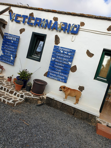 Consultorio Veterinario Lajares