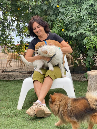 Peluquería y Guardería Canina Talento