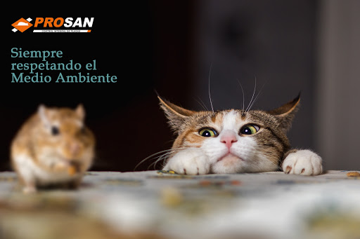 PROSAN Sanidad Ambiental