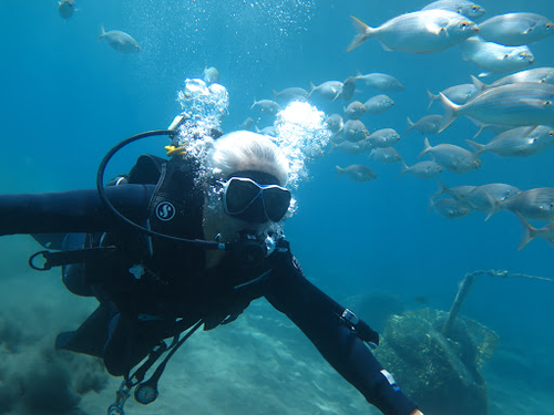 Canary Diving