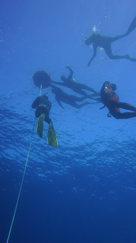 Subzone Freediving Gran Canaria